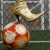 Thumb_195