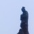 Thumb_222