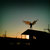Thumb_old_man_with_wings