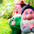 Thumb_vrtni_patuljci