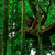 Thumb_jungle