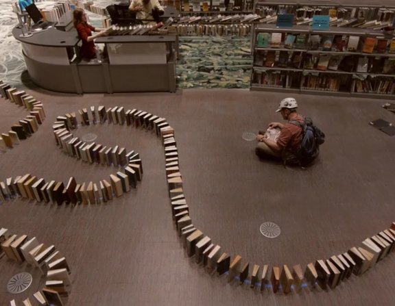 Large domino knjige