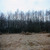 Thumb_03_stolica_kisica