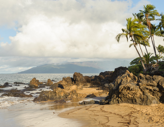 Large maui  hawaii beach