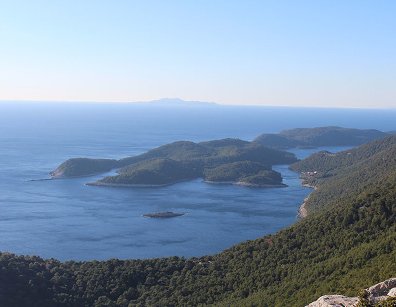 Large mljet odisejevo