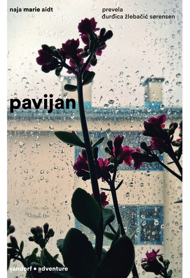 Book pavijan