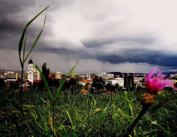 Large ljubljana