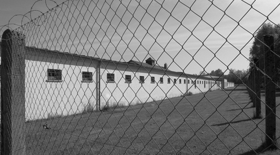 Homepage dachau