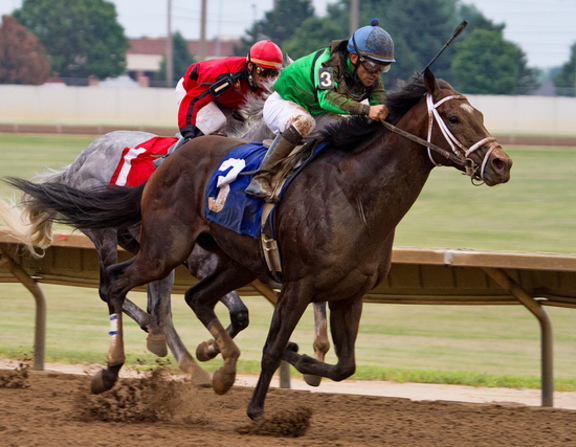 Large horse betting