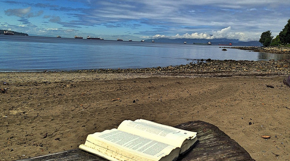 Homepage book on the beach