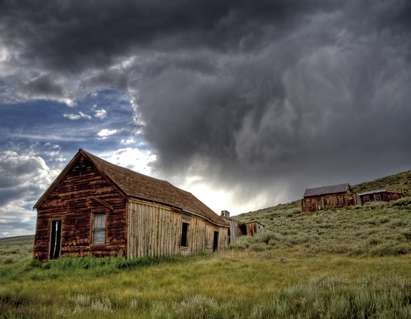 Large bodie