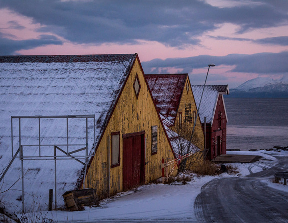 Large knausgaard