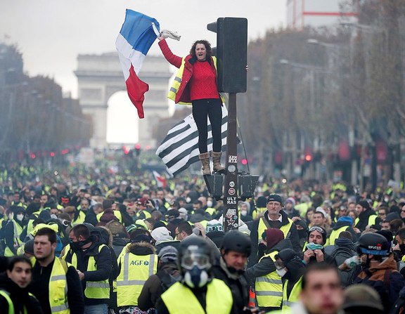 Large gillets jaunes