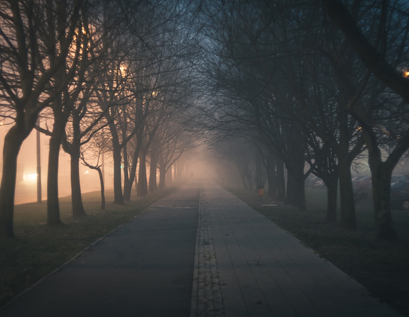 Large canva   road amidst bare trees