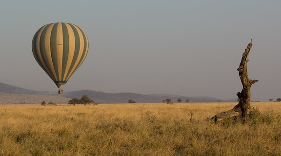 Homepage balloon