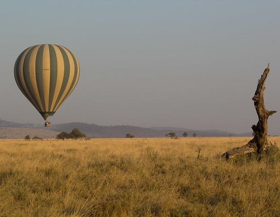 Large balloon