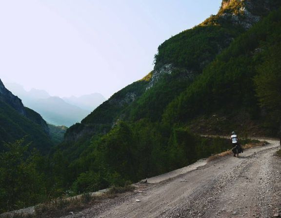 Large albanija 2014 01